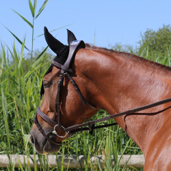 Briglia Con Ponte Manet T de T Havana scuro Marrone Briglia Con Ponte Manet T de T Havana scuro Marrone