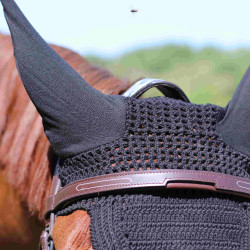 Briglia Con Ponte Manet T de T Havana scuro Marrone Briglia Con Ponte Manet T de T Havana scuro Marrone