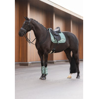 Ghette da dressage Imperial Riding Lovely Verde Salvia Blu Ghette da dressage Imperial Riding Lovely Verde Salvia Blu