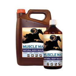 Muscolo Max Foran