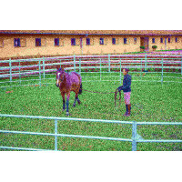 Pacco pannelli zincati 3 m...