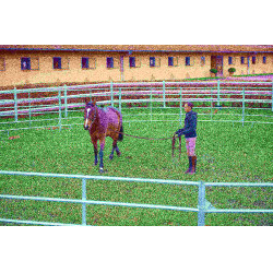 Pacco pannelli zincati 3 m La Gée