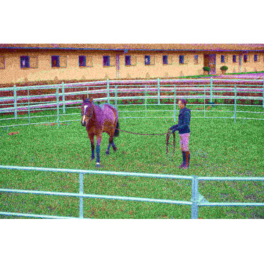 Pacco pannelli zincati 3 m La Gée