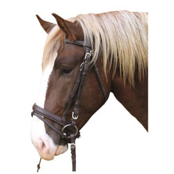 Briglia Cavallo da Tiro in Cuoio Briglia Cavallo da Tiro in Cuoio