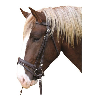 Briglia Cavallo da Tiro in Cuoio Briglia Cavallo da Tiro in Cuoio