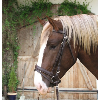 BRIDON CHEVAL DE TRAIT CUIR