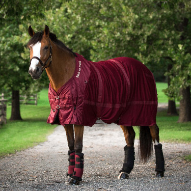 Coperta a rete Back On Track Marrone