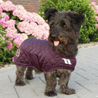 Cappotto per cane Back on Track® Night Collection Blu Cappotto per cane Back on Track® Night Collection Blu