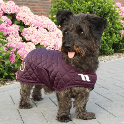 Cappotto per cane Back on Track® Night Collection Bordeaux