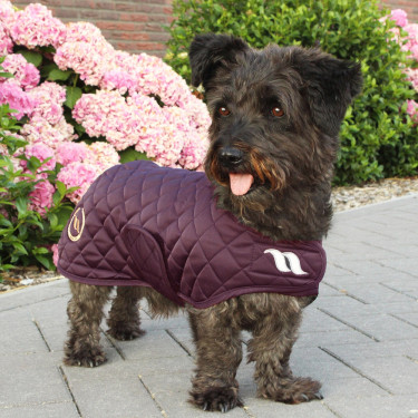 Cappotto per cane Back on Track® Night Collection Bordeaux Cappotto per cane Back on Track® Night Collection Bordeaux