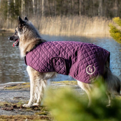 Cappotto per cane Back on Track® Night Collection Bordeaux