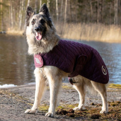 Cappotto per cane Back on Track® Night Collection Bordeaux
