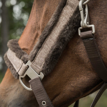 Cavezzone Back on Track Haze Collection Marrone