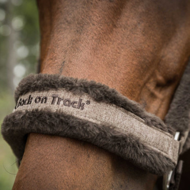 Cavezzone Back on Track Haze Collection Marrone