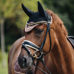 Cuffia per cavallo Night Collection Back On Track Caffè Marrone