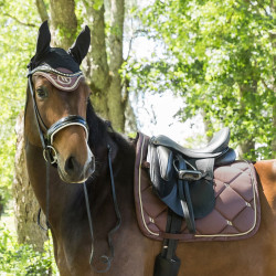 Cuffia per cavallo Night Collection Back On Track Caffè Marrone