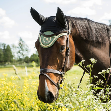 Cuffia per cavallo Night Collection Back On Track Oliva Verde
