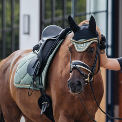 Cuffia per cavallo Night Collection Back On Track Oliva Verde