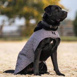 Cappotto per cane Back on Track® Haze Collection Grigio Cappotto per cane Back on Track® Haze Collection Grigio