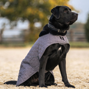 Cappotto per cane Back on Track® Haze Collection Grigio Cappotto per cane Back on Track® Haze Collection Grigio