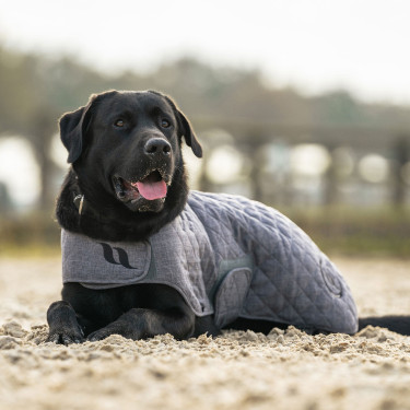 Cappotto per cane Back on Track® Haze Collection Grigio Cappotto per cane Back on Track® Haze Collection Grigio
