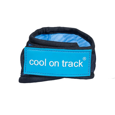 Bandana rinfrescante Cool on Track Back on Track Blu Bandana rinfrescante Cool on Track Back on Track Blu