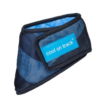 Bandana rinfrescante Cool on Track Back on Track Blu Bandana rinfrescante Cool on Track Back on Track Blu