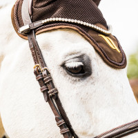 Luchtstroomkap Back on Track Marrone