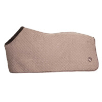 Camicia Back on Track Collezione Haze Marrone Camicia Back on Track Collezione Haze Marrone