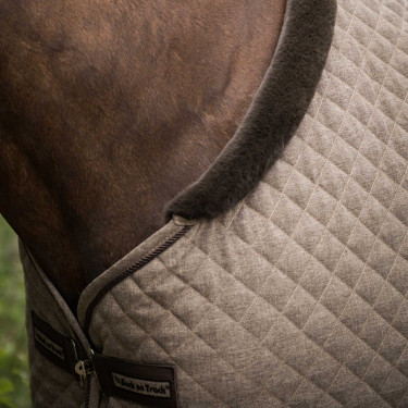 Camicia Back on Track Collezione Haze Marrone Camicia Back on Track Collezione Haze Marrone