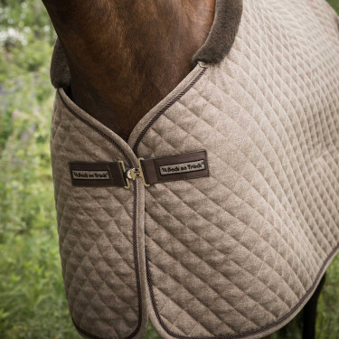Camicia Back on Track Collezione Haze Marrone Camicia Back on Track Collezione Haze Marrone