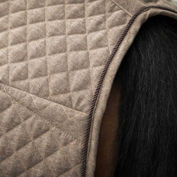 Camicia Back on Track Collezione Haze Marrone