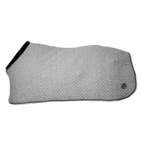 Camicia Haze Collection Back on Track Grigio melange
