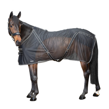 Camicia Sienna Back on Track Camicia Sienna Back on Track