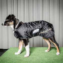 Collare per cane Molly Back on Track Nero / argento Collare per cane Molly Back on Track Nero / argento