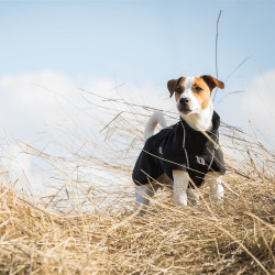 Cappotto per cani versatile Bark Back on Track Cappotto per cani versatile Bark Back on Track