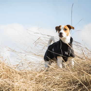 Cappotto per cani versatile Bark Back on Track Cappotto per cani versatile Bark Back on Track