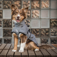 Cappotto per cane versatile Nella Back on Track Grigio
