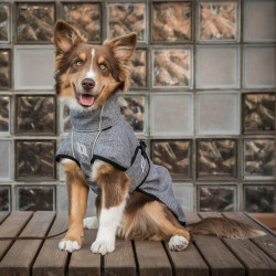 Cappotto per cane versatile Nella Back on Track Cappotto per cane versatile Nella Back on Track