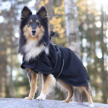 Cappotto a rete per cane Back on Track Cappotto a rete per cane Back on Track