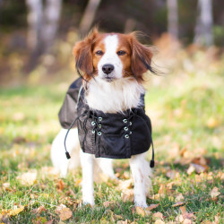 Cappotto impermeabile foderato per cane Back on Track Nero