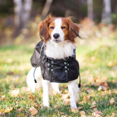 Cappotto impermeabile foderato per cane Back on Track Nero Cappotto impermeabile foderato per cane Back on Track Nero