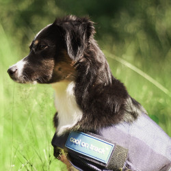 Cappotto rinfrescante per cane Back on Track Cappotto rinfrescante per cane Back on Track