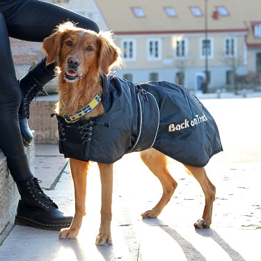 Cappotto standard Back on Track per cane Nero Cappotto standard Back on Track per cane Nero