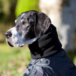 Cappotto Whippet per cane Back on Track Nero Cappotto Whippet per cane Back on Track Nero