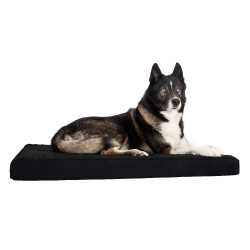 Materasso per cani Back on Track
