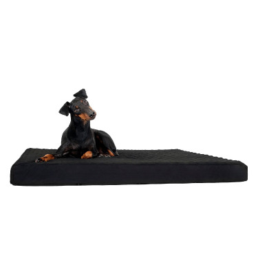 Materasso per cani Back on Track Nero Materasso per cani Back on Track Nero