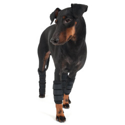 Protezione zampe anteriori Back on Track per cane Protezione zampe anteriori Back on Track per cane