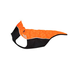 Maglione per cane Eddie Back on Track senza gruccia Maglione per cane Eddie Back on Track senza gruccia