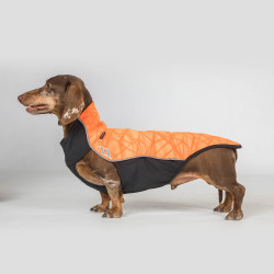 Maglione per cane Eddie Back on Track senza gruccia Maglione per cane Eddie Back on Track senza gruccia